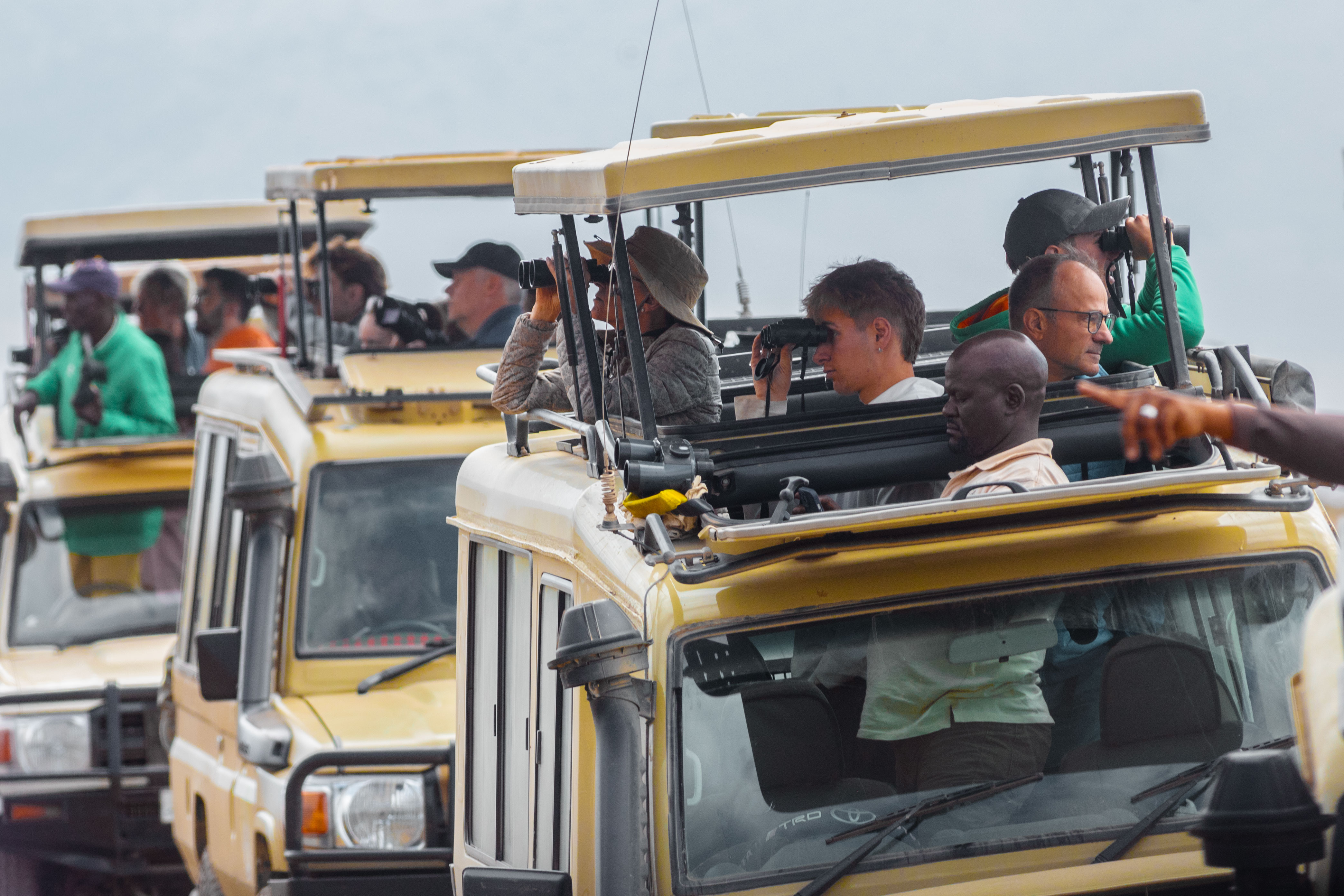 Luxury Family Safari Tanzania